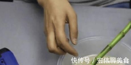 甲硝唑|过期小药片不要丢,尤其是这3种,用来养花,生根快开花多
