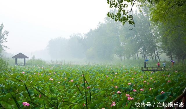 中年|微山湖为何成了“香饽饽”两省三市都“虎视眈眈”?微山湖游记