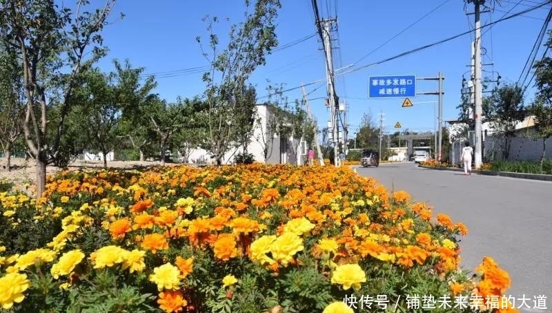 农民|安排上了!让昌平乡村更美,农民更富