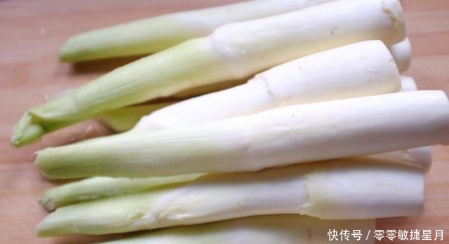 水生植物|河边长出的“烤肠”,水下隐藏着美味,30元一斤,很多人不知能吃!