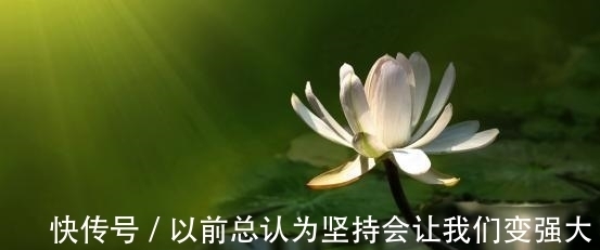 责任感|从7月21日开始，深情依依，痴心绝对，旧爱回头，不负相思意