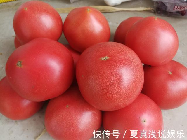 沙瓤|买西红柿就要挑“母”的,沙甜又多汁,学会这4招,一挑一个准