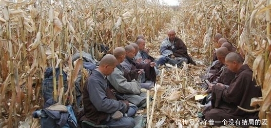 和尚|中国和尚与老挝僧人日常生活对比,差距还真大