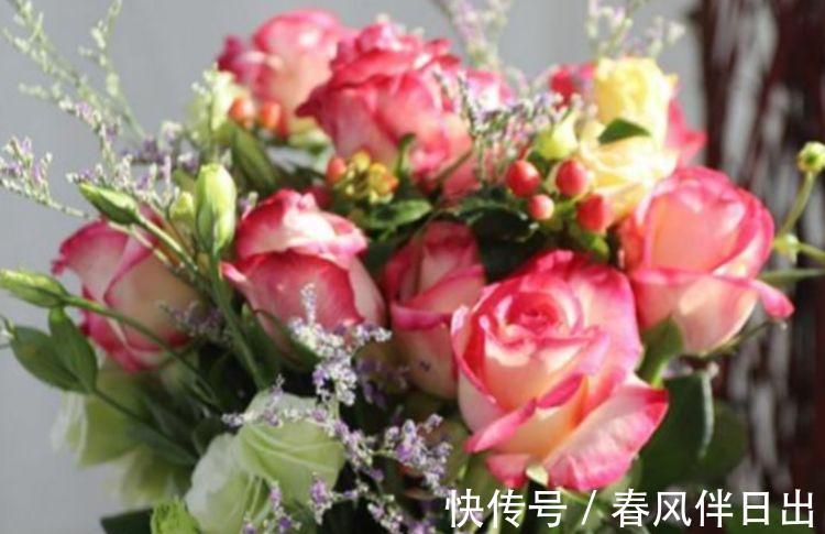 花色|农历7月13日开始,养花养个耐看的,开花幽香暗淡,花色惊艳清新