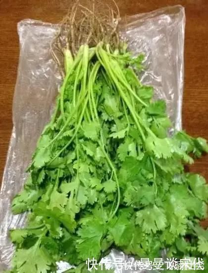 大厨|储存香菜，别再放冰箱了！20年大厨教你，放再久都不坏，翠绿新鲜！