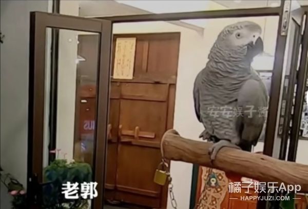 它逃，他追，它…跑的更飛？