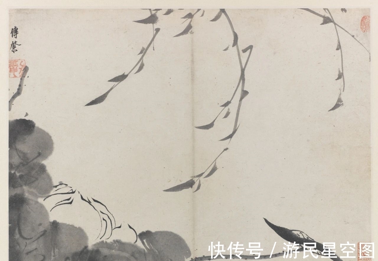 津门&「津门网」见画如见字、见字如见人,看这组清新的荷花您有啥感受