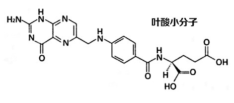 生长纹|光肚皮孕妈生长纹、妊娠纹修复两手抓！最佳淡化cp竟不是妊娠油！