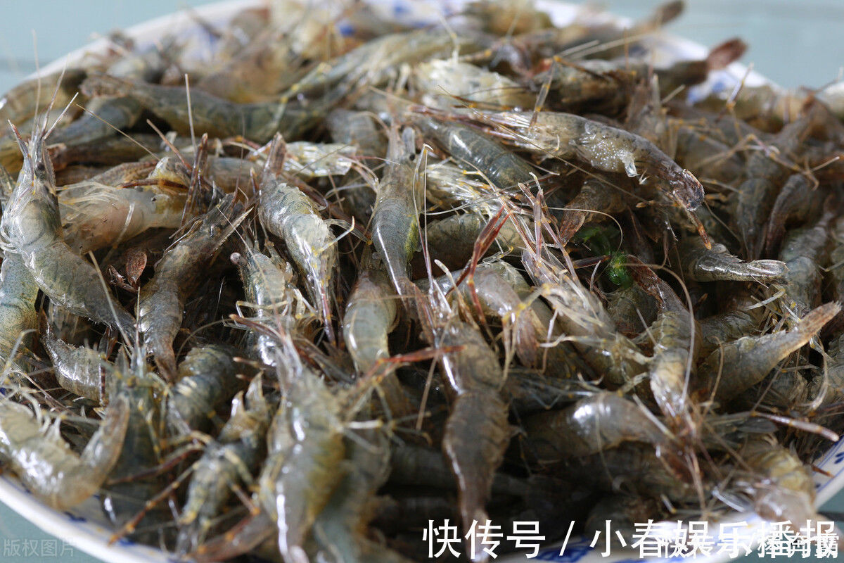 河里长不大的野味,水草处最多,过去一晚捞十几斤,现在一斤难寻