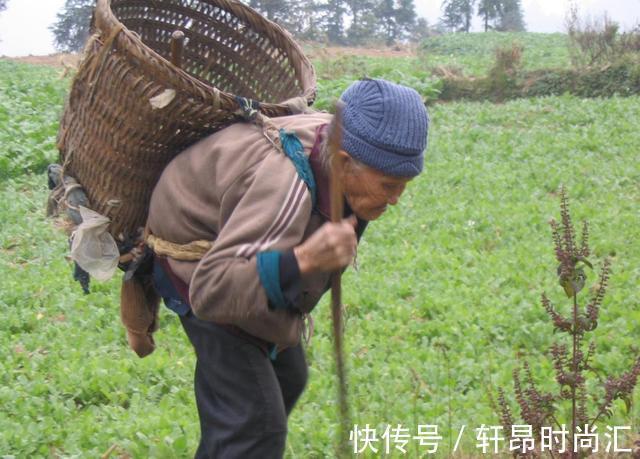 老人|“别带儿子去银行取钱”七旬老人含泪倾诉,这才是育儿真相