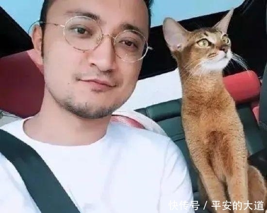 主持人|意想不到！央视著名主持人中也有这么多“猫奴”