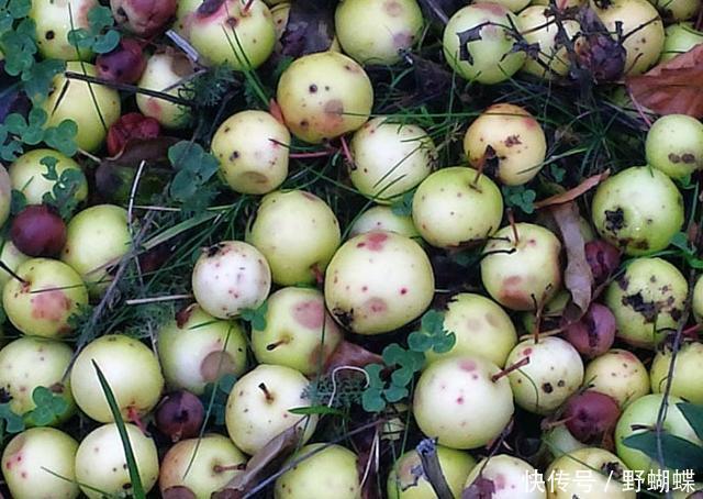 上身|母女二人双双查出胃癌,医生2样东西吃的太多,很容易惹癌上身