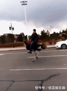 |「搞笑GIF」这是什么情况,知道现在的男孩子为什么不找女生玩了