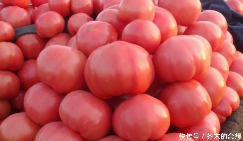 催熟|西红柿打不打激素?看一眼这里就知道,包你买到不打激素番茄