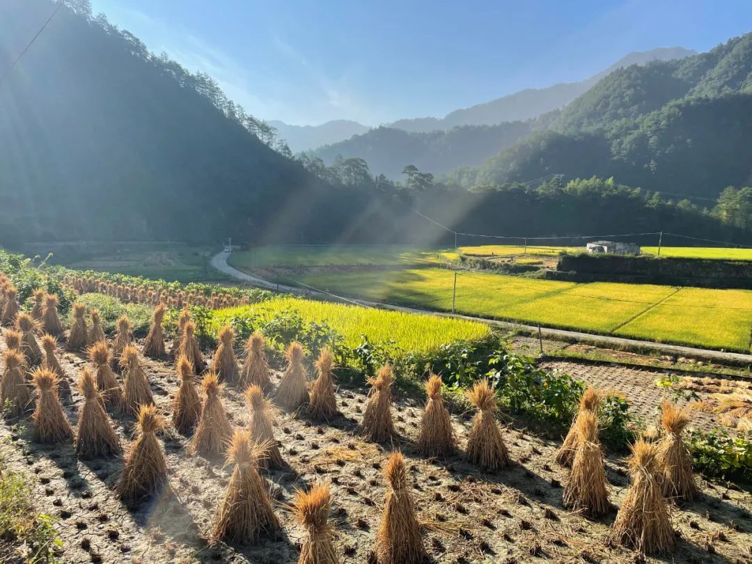 常住人口|常住人口100多！永嘉这个小山村婚龄超50年的竟有28对！最久的已有72年