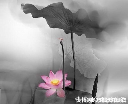 人生在世|佛教最经典的24句话,修身养性,不看是你的损失!