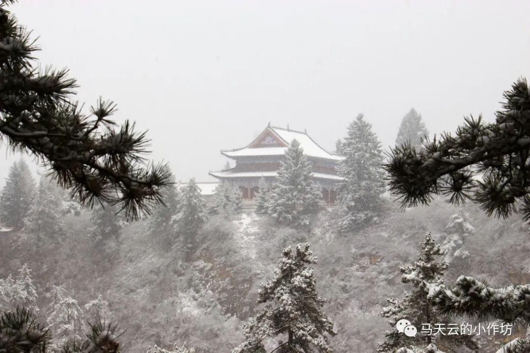 雪落贵清山|图胜千言| 雪落