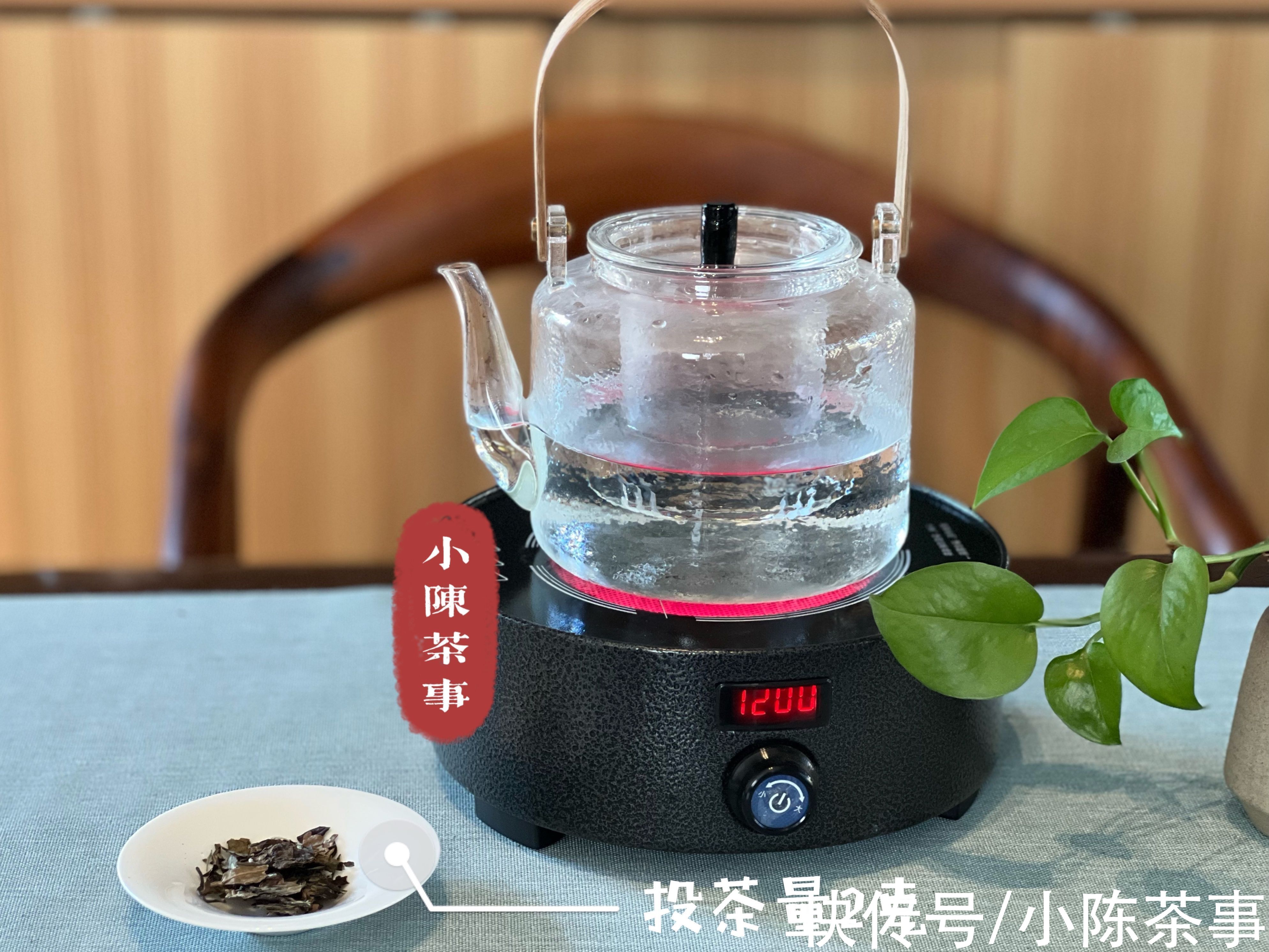 叶底|从茶器、茶叶到方法，完整的煮白茶指南教给你，真的很简单