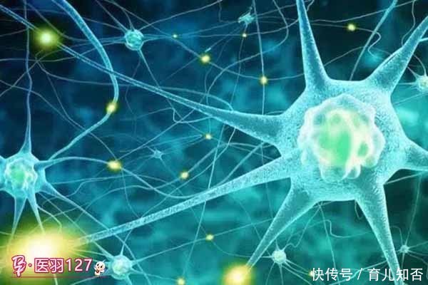 医羽:糖尿病新式治疗手段或将彻底治愈糖尿病!