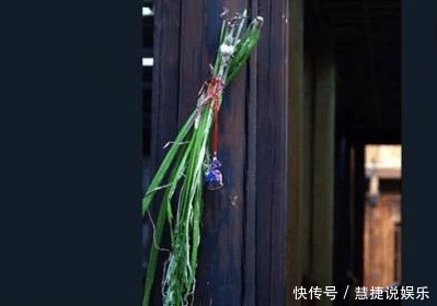 蚊子就怕“它”,洗凈曬干放臥室里,不用掛蚊帳,也能睡安穩覺