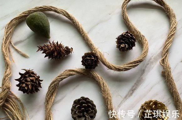 石头野草捡回家,胶水一粘变盆栽,比买的还好看!