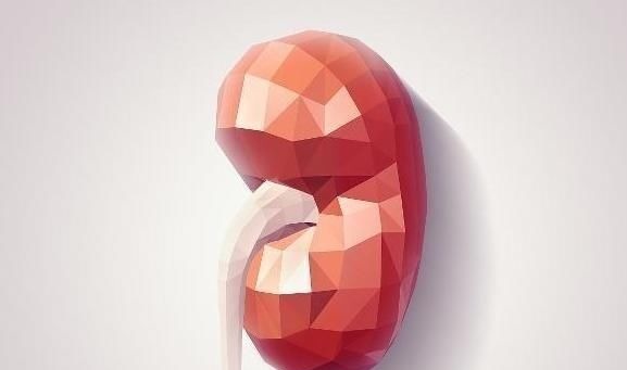 鹌鹑蛋|天然“养肾王”找到了,男性每天吃点,补足肾气,肾脏更健壮!