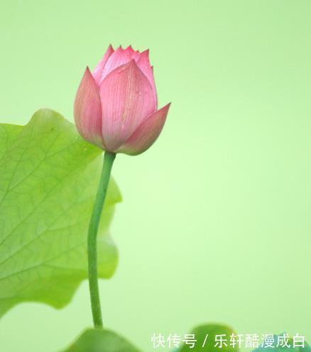 金水生财局|11月上旬起，4属相鸿运当头，升职加薪，生活锦上添花