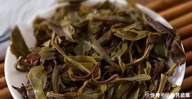 茶叶渣直接倒了真可惜,不如这样处理,当成养花肥促进开花