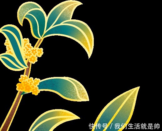 变法|张世敏:张载与王安石变法指比较