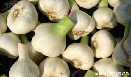 湿毒|湿气“害怕”这几种食物, 多吃赶走体内湿毒, 大肚腩也消失了