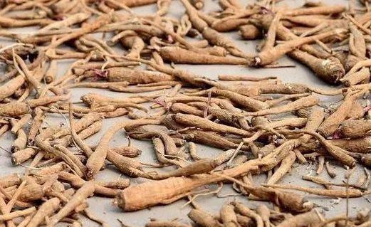 药材|四君子汤,补气养血第一名方!灸透身体这4穴,胜喝四君子汤!