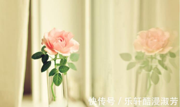 感情|没有隔夜仇,吵架之后先妥协,主动放下恩怨的星座