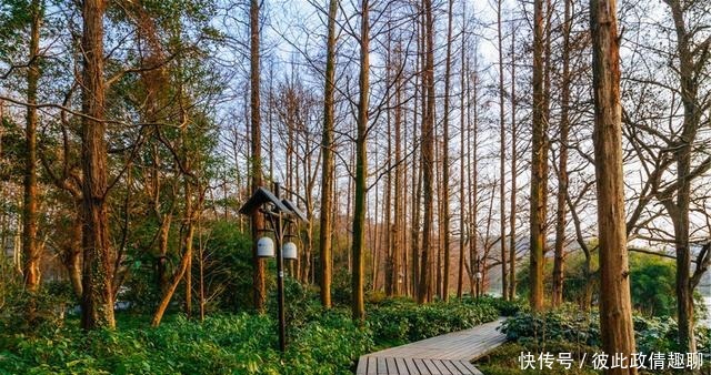 虎跑|云栖竹径、满陇桂雨、虎跑梦泉、龙井问茶，杭州处处美如画