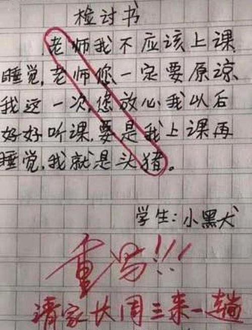 小学生|小学生被罚写检讨,字里行间看似真诚反省,班主任认真你就输了