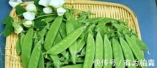 维生素e|想长寿先养生，几种食物每天吃点，养胃健脾，帮助消化，好处多多