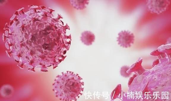 日常生活|“它”是癌症天敌,若每天吃点,也许“癌细胞”会“悄悄”离开你