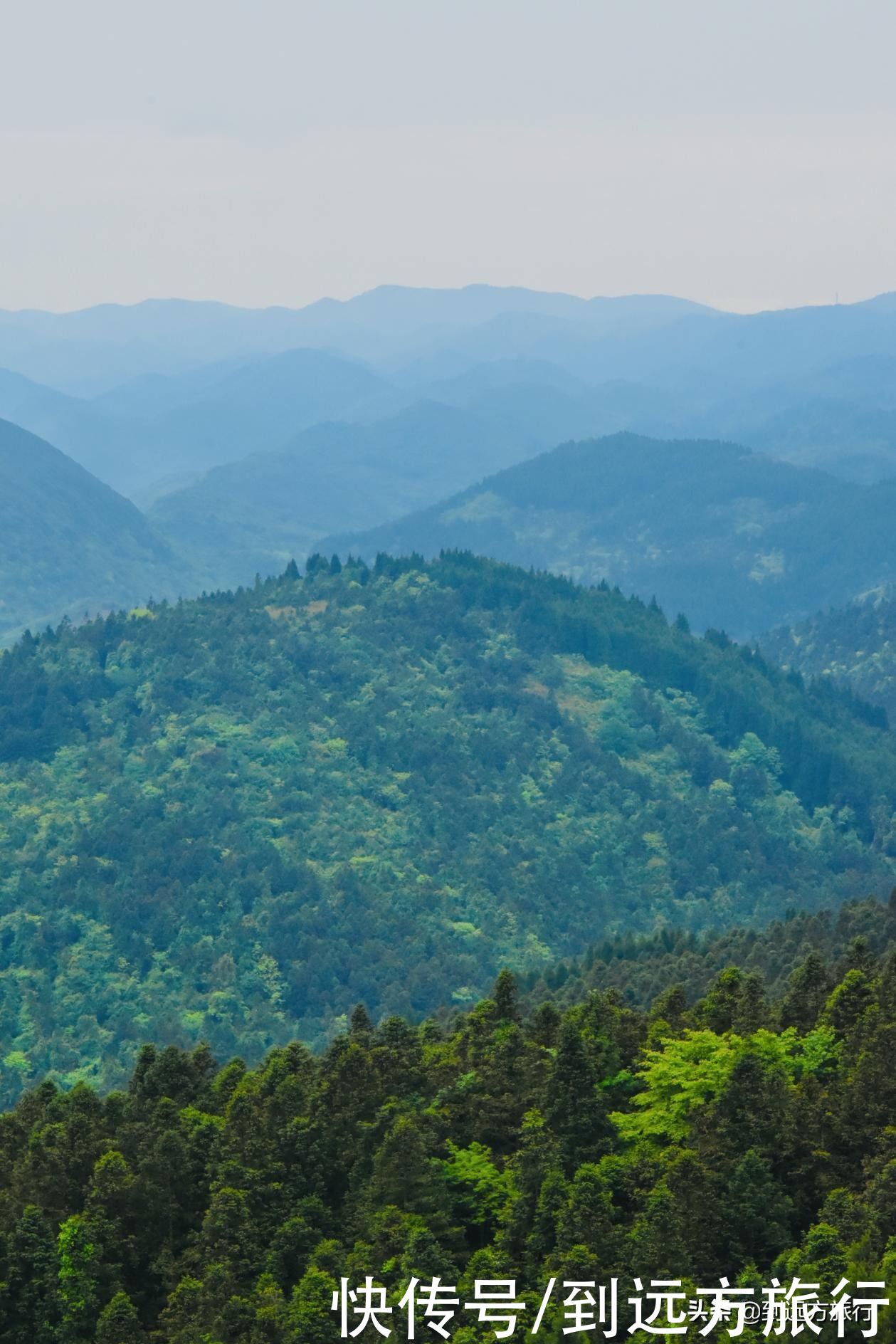 武陵山国家森林公园|打卡江城涪陵，玩转绝美山水秘境，有这篇攻略GO了