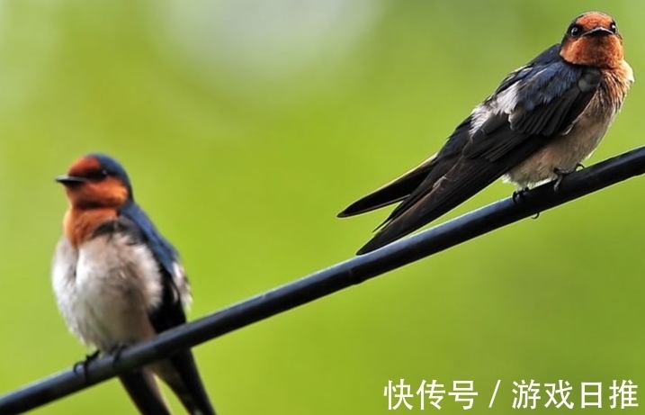 柳永！欧阳修高水平的10首诗词排行，《生查子 元夕》仅第二，第一是？