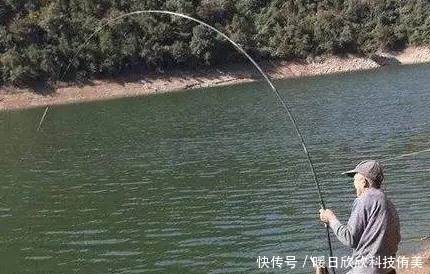 野钓经验谈之七 你会钓鲶鱼么?手竿钓鲶鱼浅析