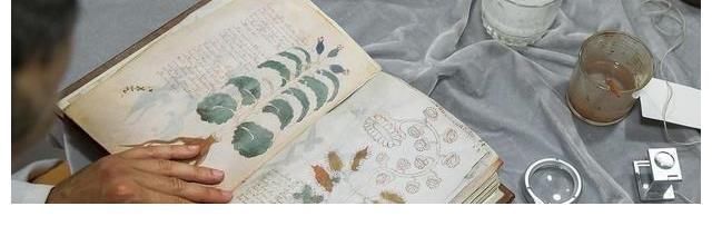 书籍$600年前的神秘古书,无人破解奥妙,曾一度被认为是外星人书籍