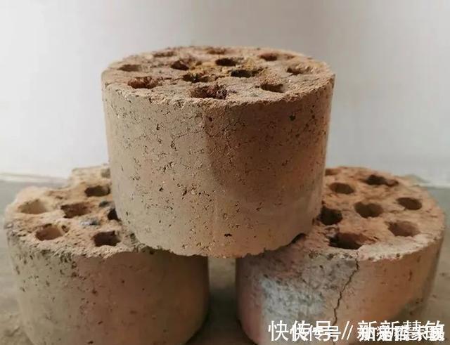 牛人养花，常用这4种小东西，养花土里掺一点，啥花都能养爆盆