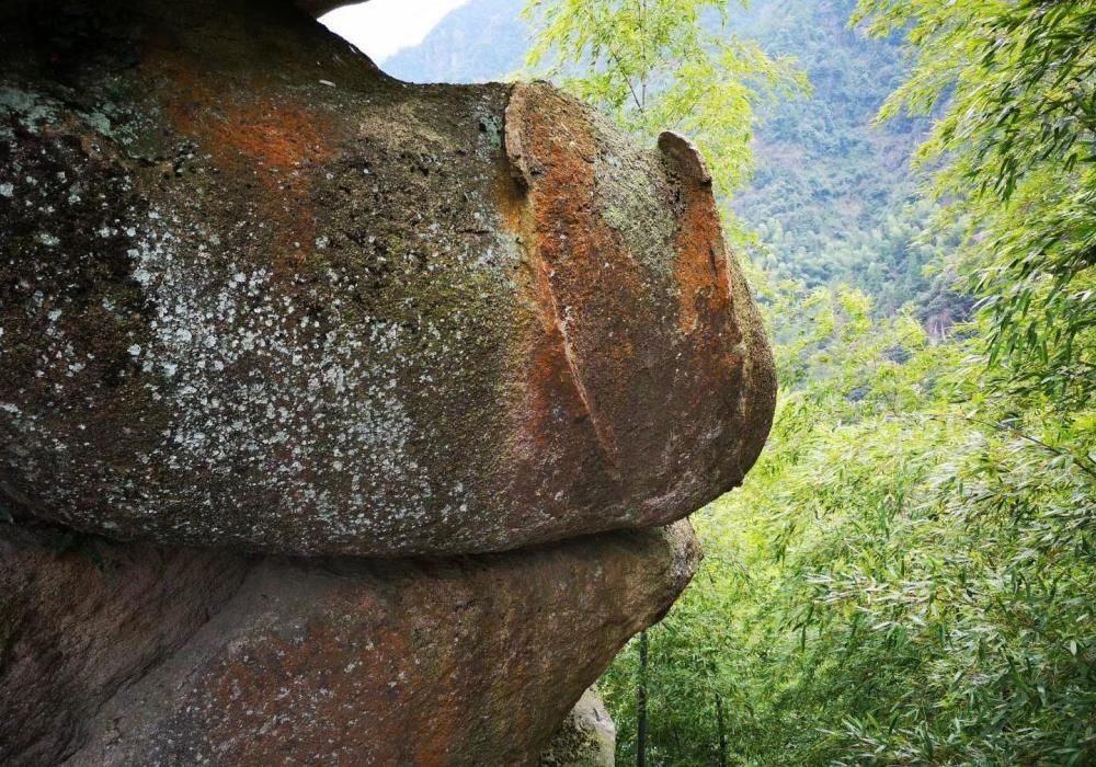 玻璃|“高山流水”呈现了江南另一面！玻璃栈道惊现刺激！