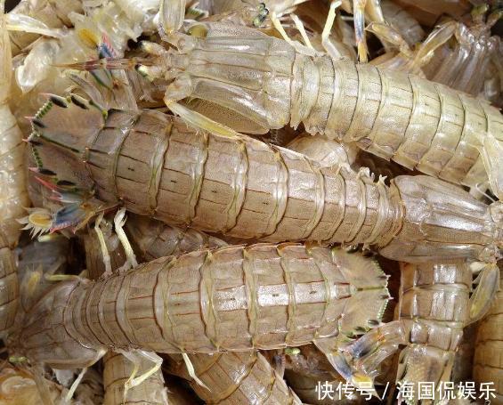 吃海鲜也要讲究“时令”，老渔民不会告诉你的海鲜日历，请收好