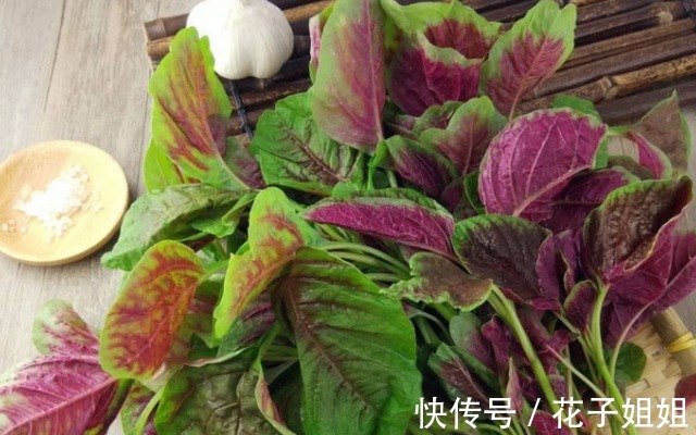 红叶子|同样是苋菜，为何有“红叶”和“绿叶”老菜农区别大，别买错！