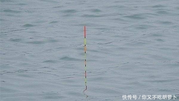 技巧|调漂技巧浮漂的送漂、顿口是怎么形成的