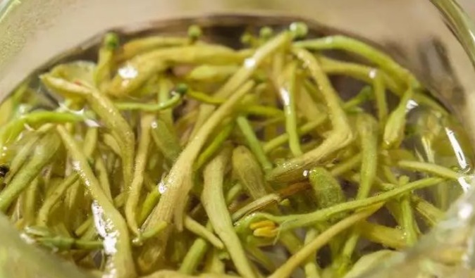 食物|想长寿，平时坚持吃4种食物，排毒抗衰，保护肠胃，越活越年轻