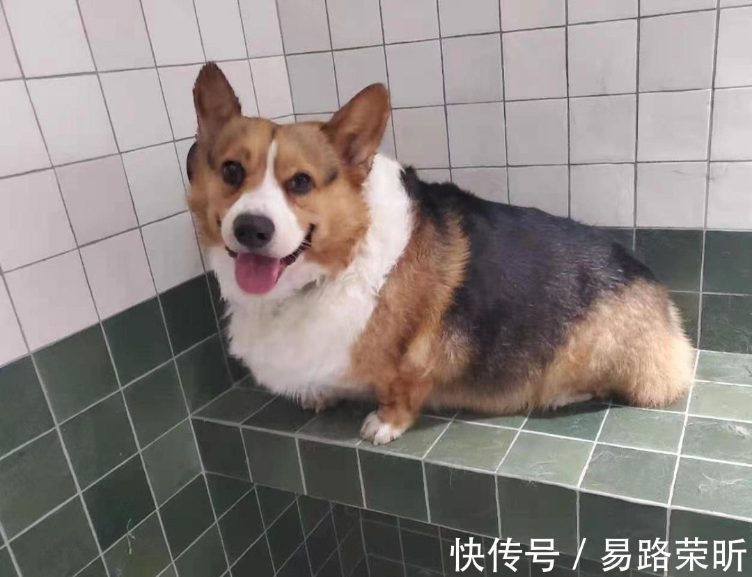 见缝插针式储物,这个家的超强收纳太能打