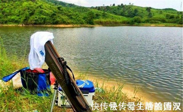 夏季|夏季钓鲤鱼,这三个技巧尤其重要,影响了“空军”还是“爆护”