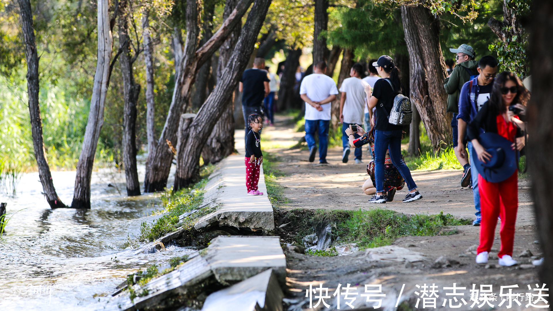 枯藤|大理最不起眼的海舌公园，洱海边上的枯藤老树成人们最爱的打卡点