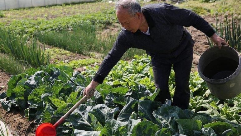 73岁糖尿病只用一个简单办法,至今让血糖稳定,无任何并发症